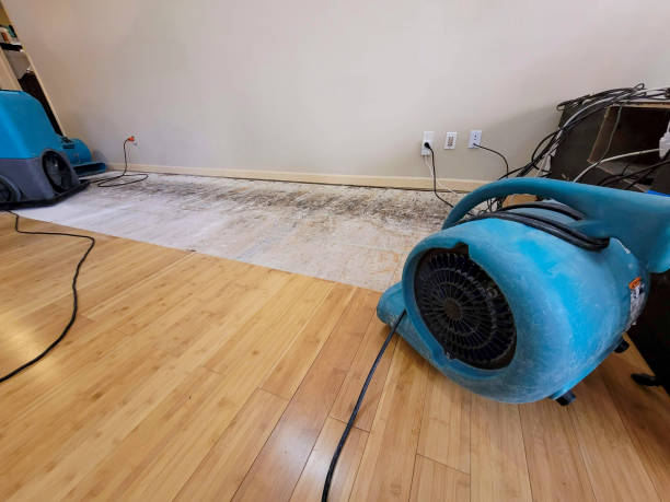 Professional Basement Flood Cleanup technician working in Beachwood, OH